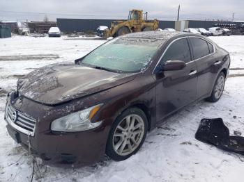  Salvage Nissan Maxima