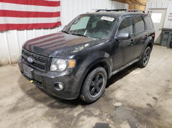  Salvage Ford Escape