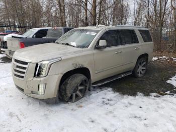  Salvage Cadillac Escalade