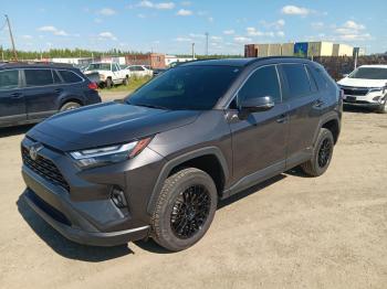  Salvage Toyota RAV4