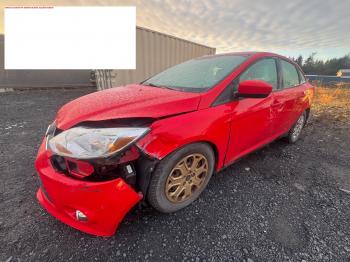  Salvage Ford Focus
