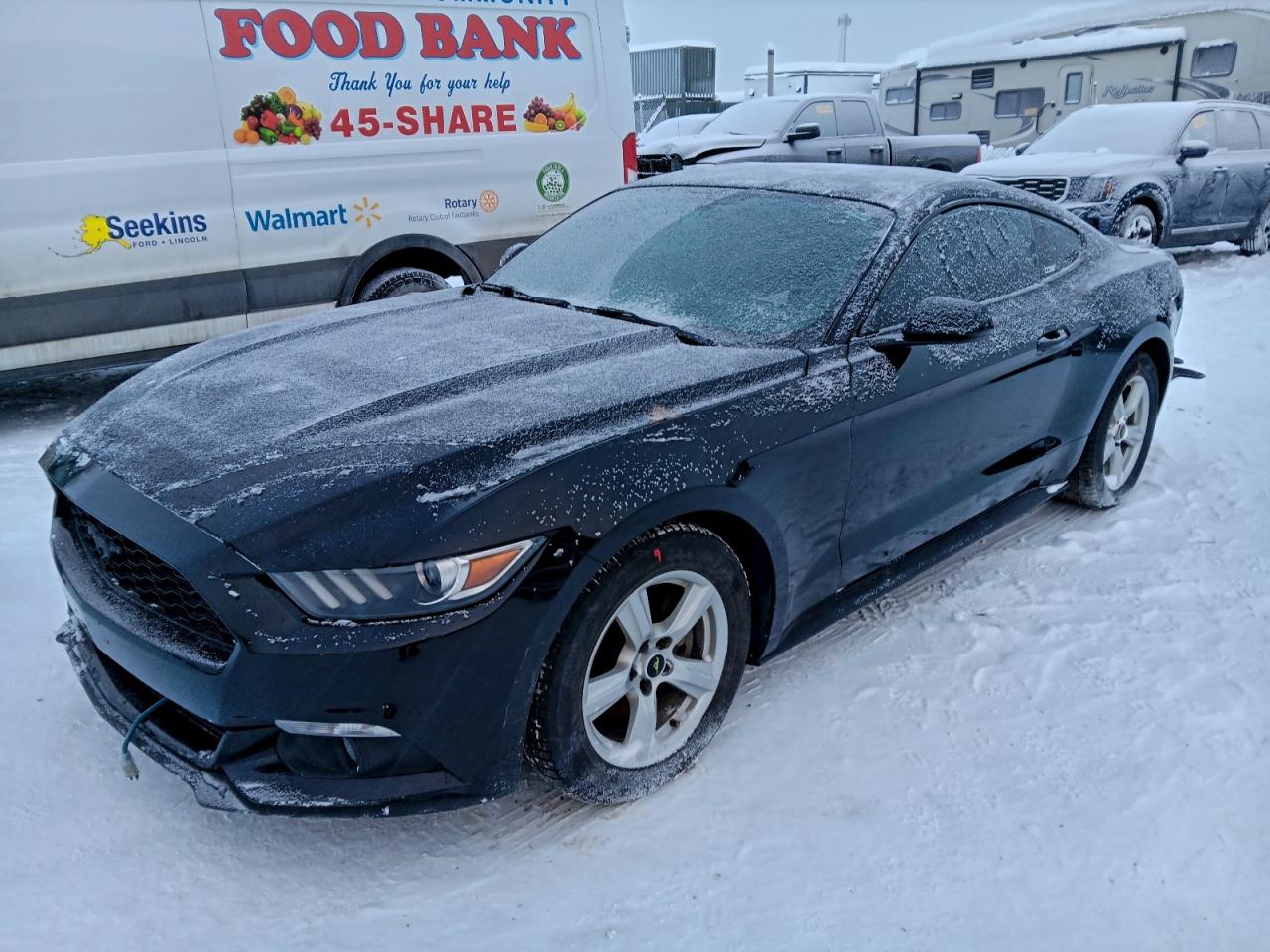 Ford Mustang Image 1