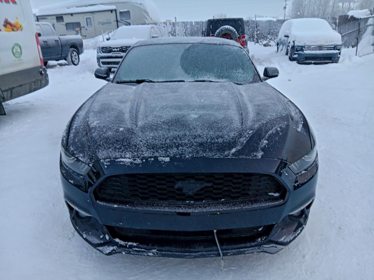 Ford Mustang Image 12