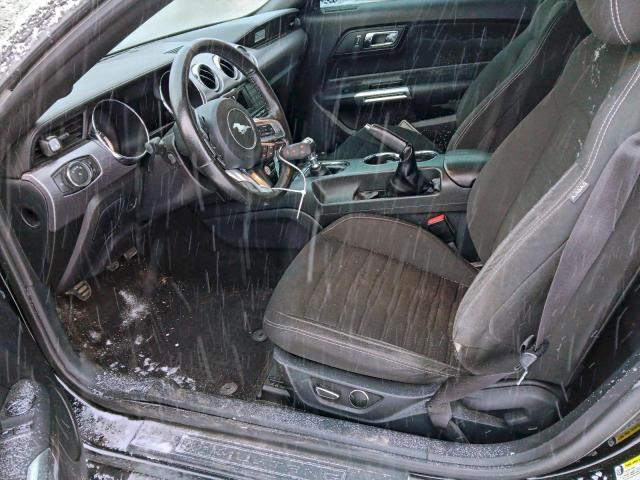 Ford Mustang Image 6