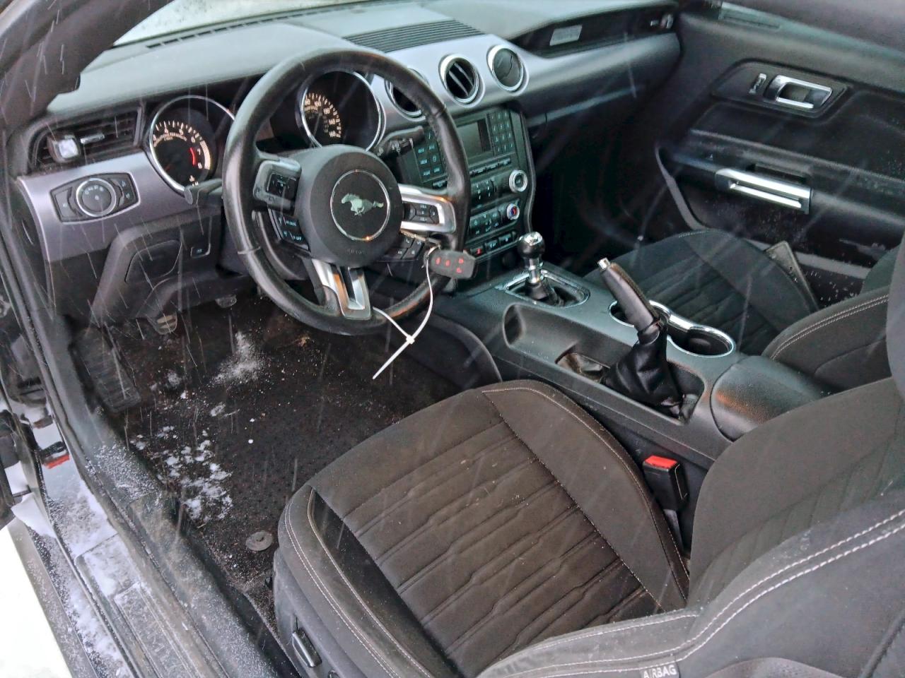 Ford Mustang Image 9