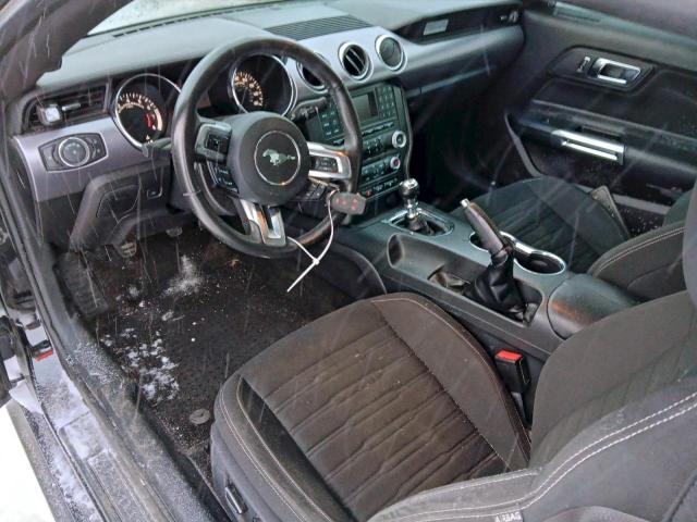 Ford Mustang Image 9