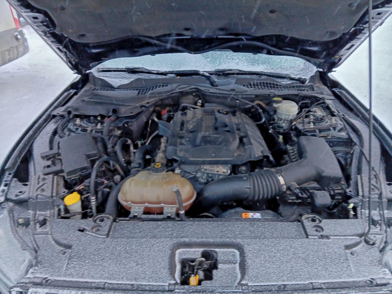 Ford Mustang Image 10